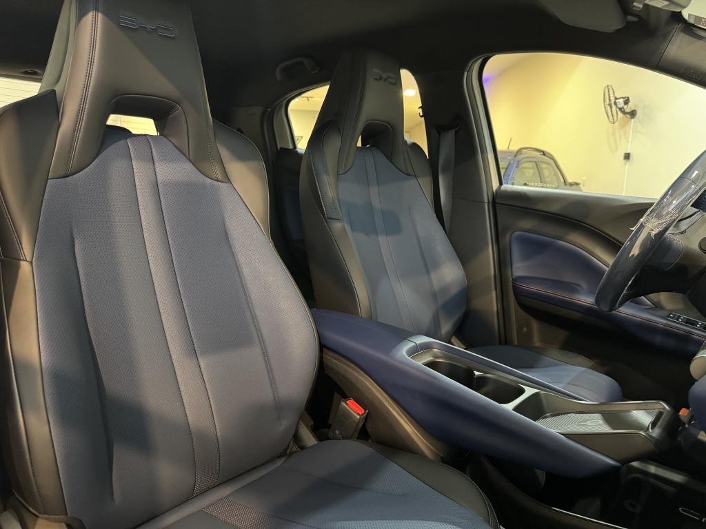 BYD Dolphin Mini - Foto