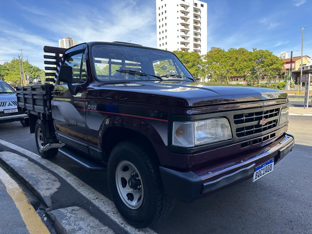 CHEVROLET D20