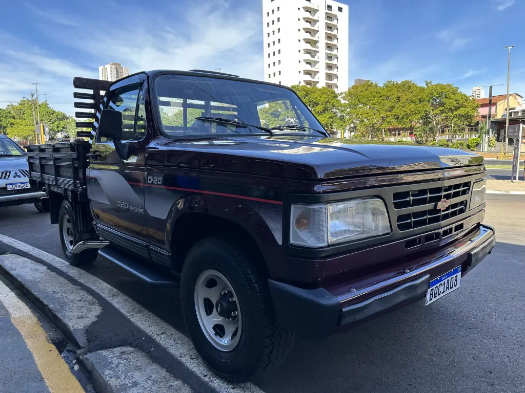 CHEVROLET D20