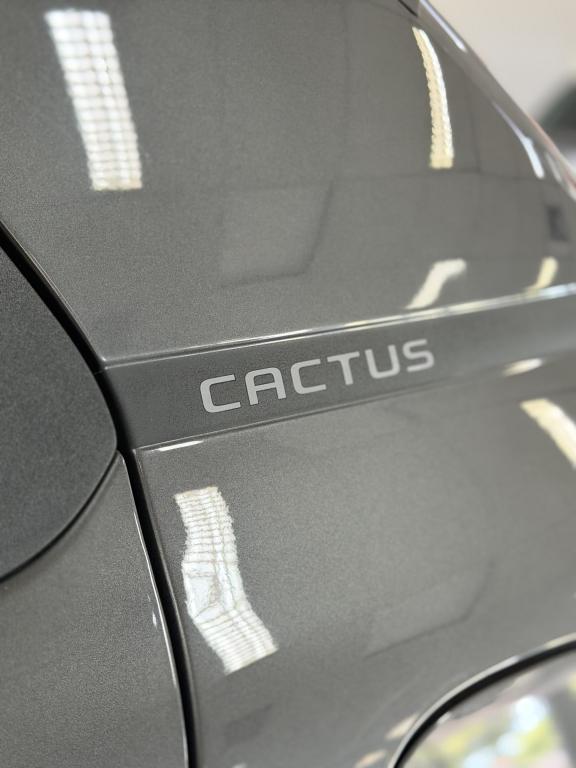 CITROEN C4 Cactus - Foto