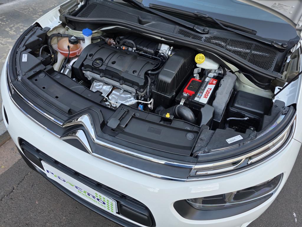 CITROEN C4 Cactus - Foto