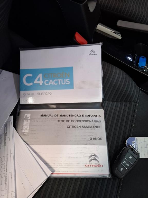 CITROEN C4 Cactus - Foto