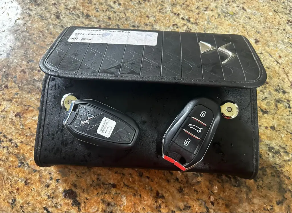 CITROEN DS5 - Foto