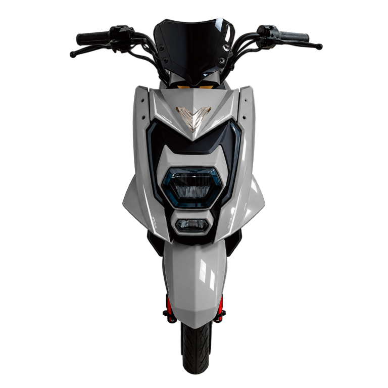 GoO ELÉTRICOS Racing - Foto