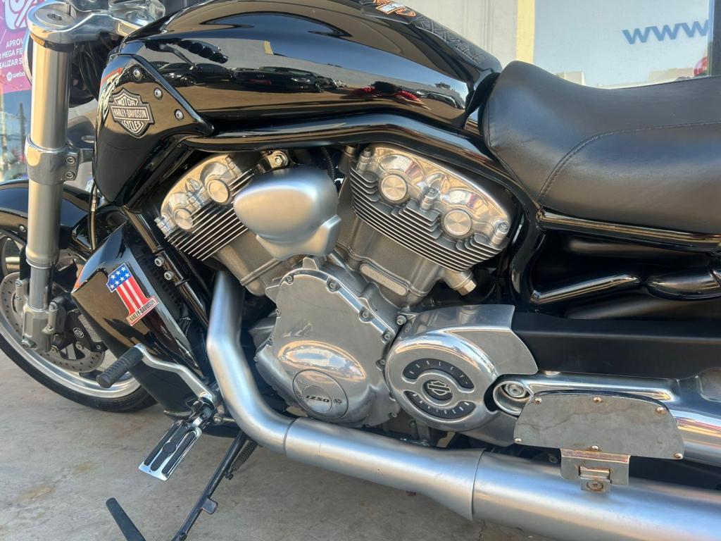 HARLEY DAVIDSON V-Rod - Foto