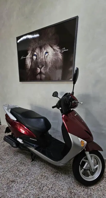 HONDA Lead 110 - Foto