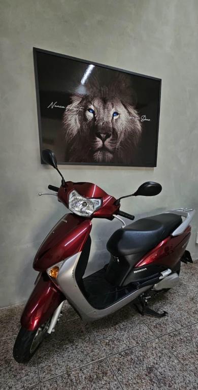 HONDA Lead 110 - Foto