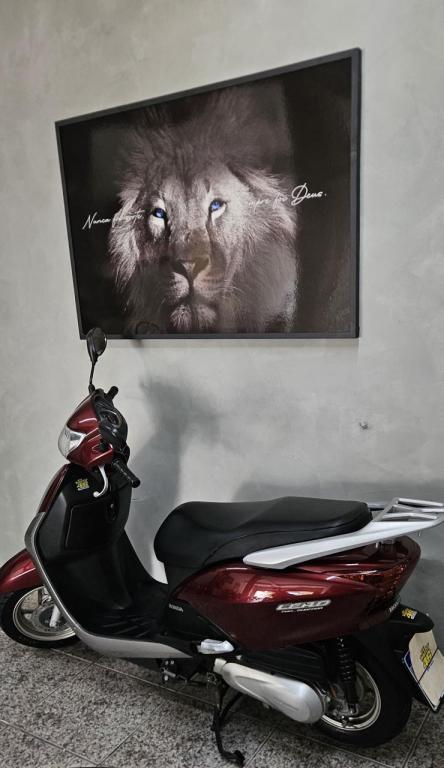 HONDA Lead 110 - Foto