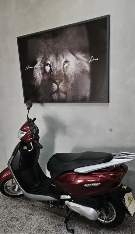 HONDA Lead 110 - Foto