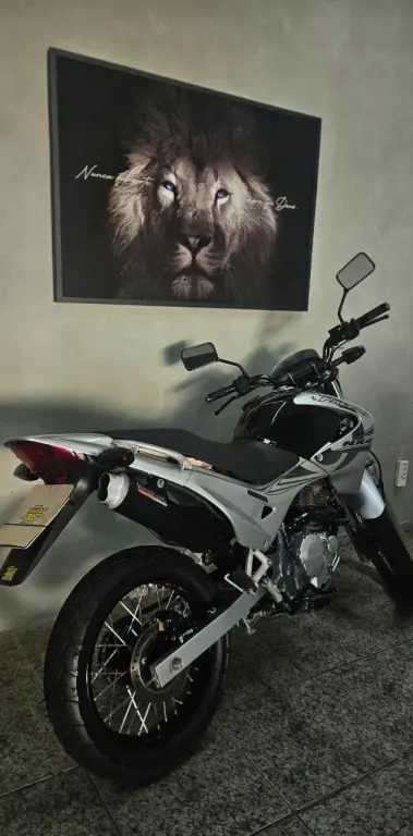 HONDA NX Falcon - Foto