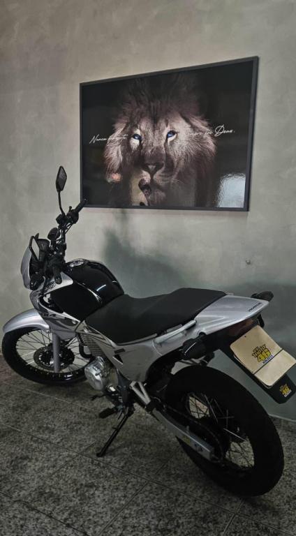 HONDA NX Falcon - Foto