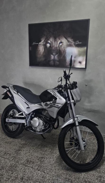 HONDA NX Falcon - Foto