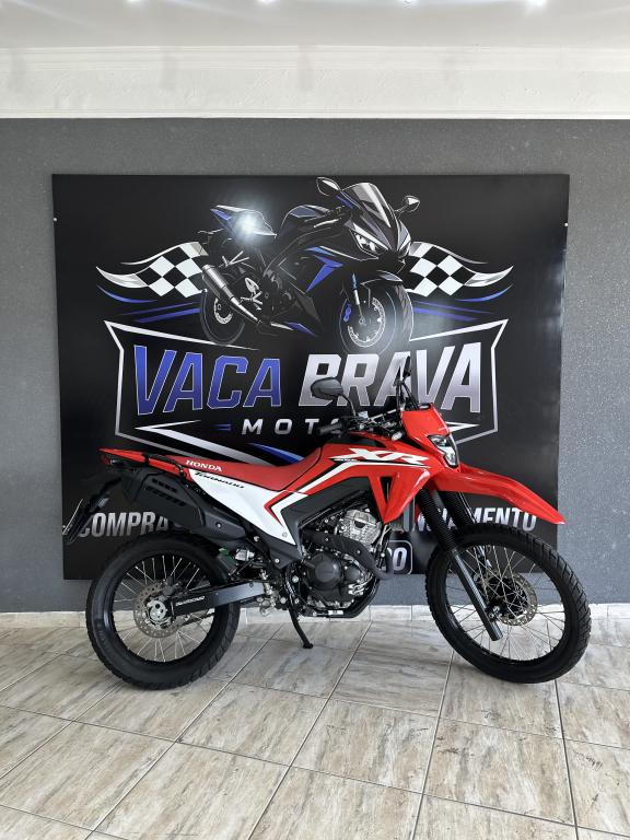 HONDA XR 300 L Tornado