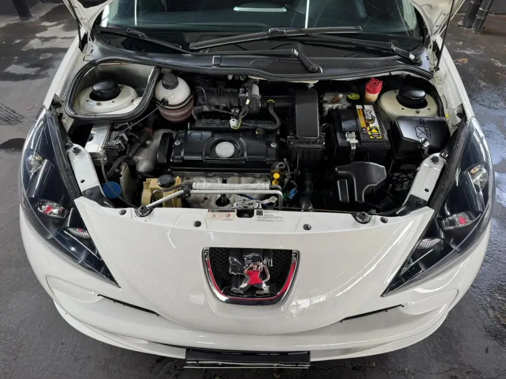 PEUGEOT 207 Hatch - Foto