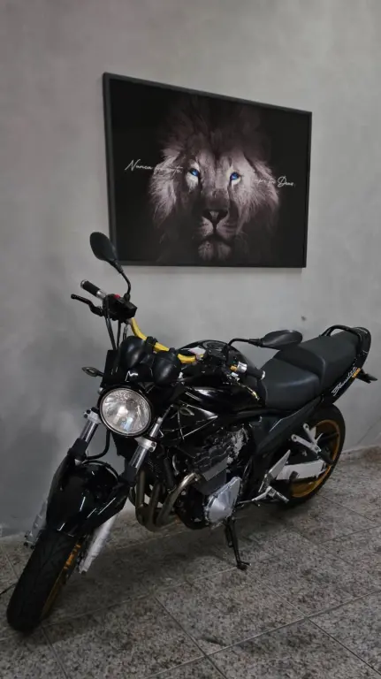 SUZUKI Bandit 1200 - Foto