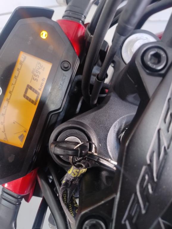 YAMAHA FZ 25 250 Fazer Flex - Foto