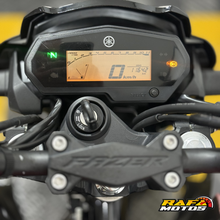 YAMAHA FZ 25 250 Fazer Flex - Foto