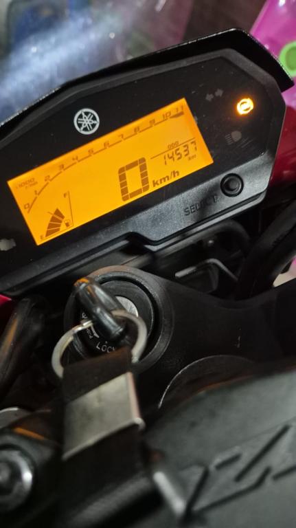 YAMAHA FZ 25 250 Fazer Flex - Foto