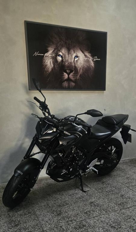 YAMAHA MT-03 300 - Foto