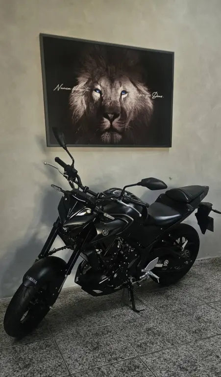 YAMAHA MT-03 300 - Foto