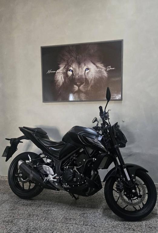 YAMAHA MT-03 300 - Foto