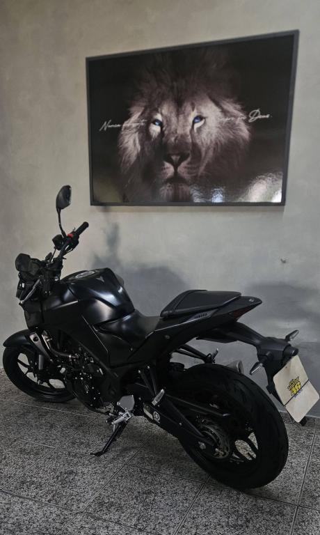 YAMAHA MT-03 300 - Foto