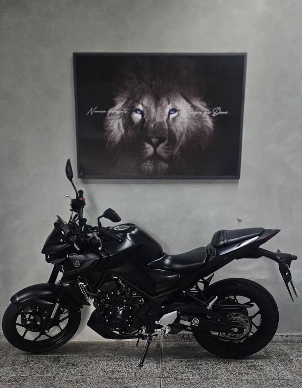 YAMAHA MT-03 300 - Foto