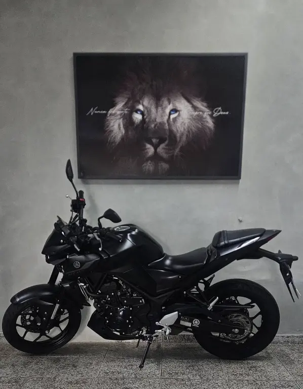 YAMAHA MT-03 300 - Foto