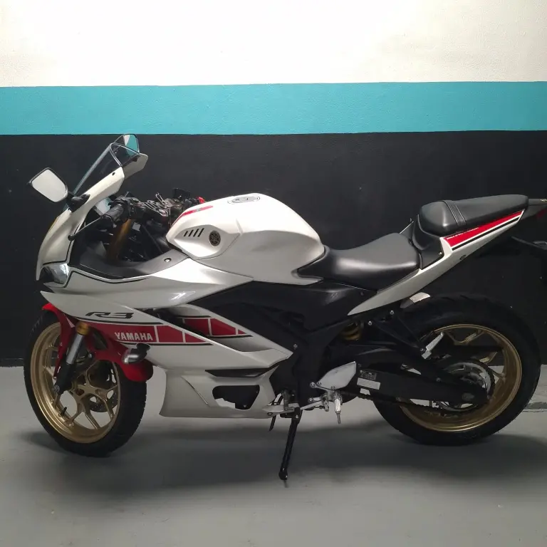 YAMAHA YZF R3 300 - Foto