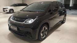 BYD Dolphin 44,9 KW ELÉTRICO GS