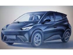 BYD Dolphin Mini 38 KW EL�TRICO