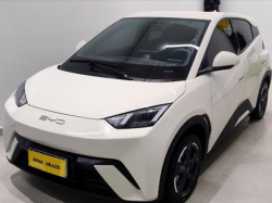 BYD Dolphin Mini 38 KW EL�TRICO