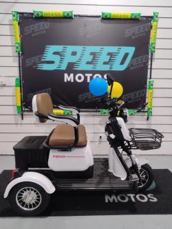 SCOOTER Triciclo 1000W
