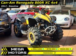 BRP CAN-AM Renegade 1000 
