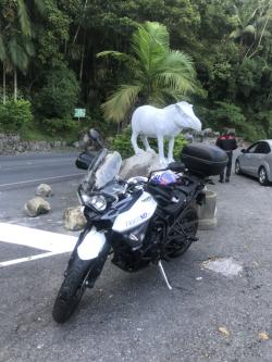 TRIUMPH Tiger 800 XRX