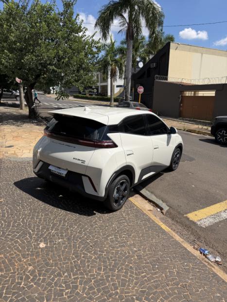 BYD Dolphin 60,5 KW EL�TRICO PLUS, Foto 15