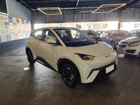 BYD Dolphin Mini 38 KW EL�TRICO, Foto 2