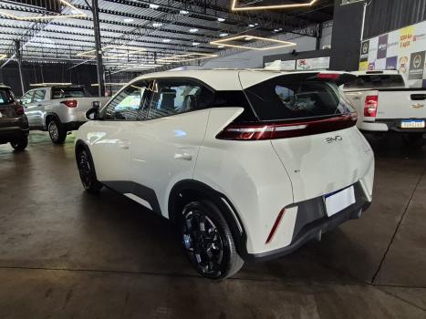 BYD Dolphin Mini 38 KW EL�TRICO, Foto 7