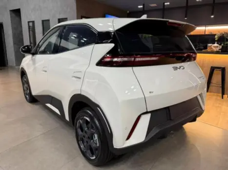 BYD Dolphin Mini 38 KW ELTRICO, Foto 4