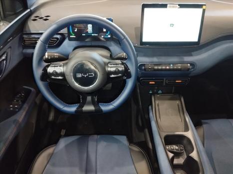 BYD Dolphin Mini 38 KW ELTRICO, Foto 12
