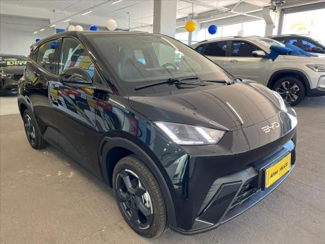 BYD Dolphin Mini 38 KW ELTRICO, Foto 3