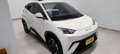 BYD Dolphin Mini 38 KW ELTRICO, Foto 1