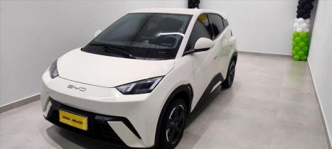 BYD Dolphin Mini 38 KW ELTRICO, Foto 2