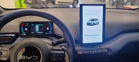 BYD Dolphin Mini 38 KW ELTRICO, Foto 8