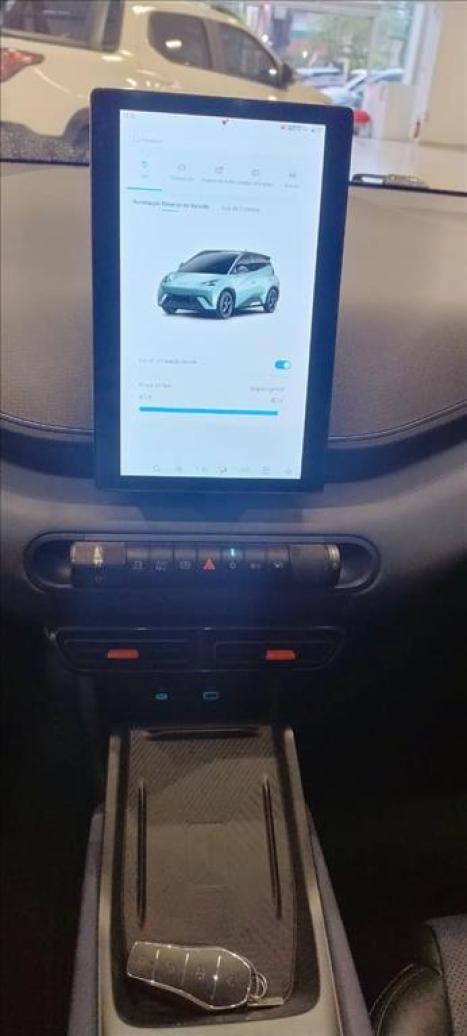 BYD Dolphin Mini 38 KW ELTRICO, Foto 12