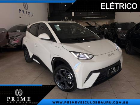 BYD Dolphin Mini 38 KW EL�TRICO, Foto 1