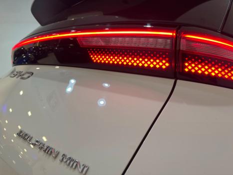 BYD Dolphin Mini 38 KW EL�TRICO, Foto 14