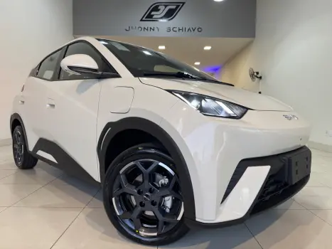 BYD Dolphin Mini 38 KW EL�TRICO GS, Foto 2