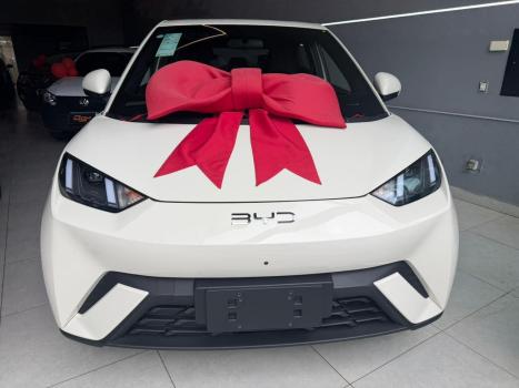 BYD Dolphin Mini 38 KW EL�TRICO GS, Foto 1