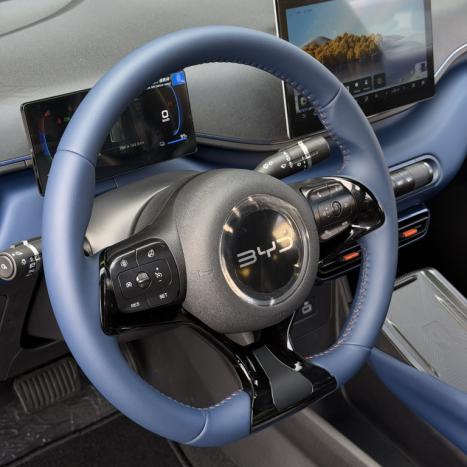 BYD Dolphin Mini 38 KW EL�TRICO GS, Foto 6